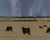 [달라스] 텍사스와 뉴멕시코 등 곳곳에서 산불...건조한 강풍과 고온 원인