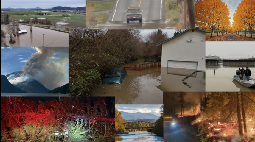 2025�� �������� ���� ��ꡦ���� ���������� ����� ����