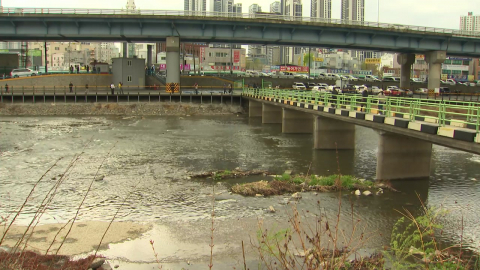 ����, '50�� �ý� ���� ����' 20�� �������� ���ü��